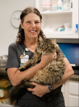 Veterinarian – Animal Hospital Bel Air, MD | Baltimore County - CARING.  COMPASSIONATE. DEDICATED. 410-420-7297 (PAWS)